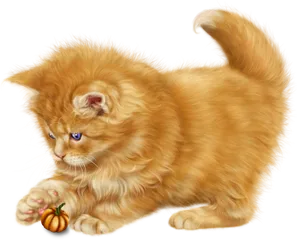 Fluffy Orange Kitten Playing PNG image