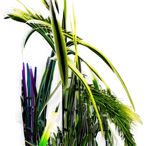 Fluffy Ornamental Grass PNG Eow