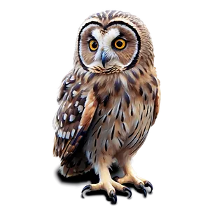 Fluffy Owl Png Aom PNG image