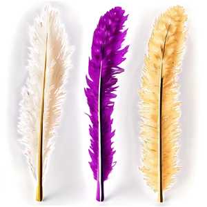 Fluffy Pampas Plumes Png 06272024 PNG image