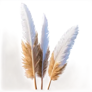 Fluffy Pampas Plumes Png 76 PNG image