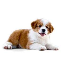 Fluffy Puppy PNG Nsv