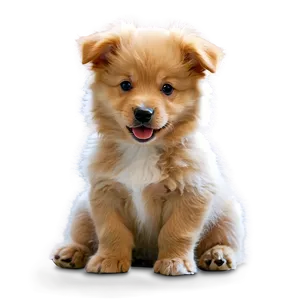 Fluffy Puppy PNG Rqb