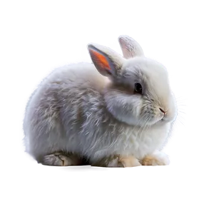 Fluffy Rabbit Png 05062024 PNG image