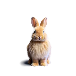 Fluffy Rabbit PNG 05062024