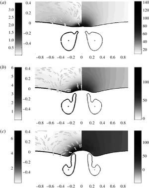 Fluid Dynamics Visualization Comparison PNG image