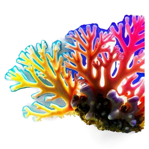 Fluorescent Coral Underwater Png 05242024 PNG image