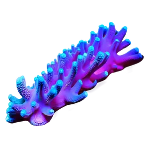 Fluorescent Coral Underwater Png 05242024 PNG image