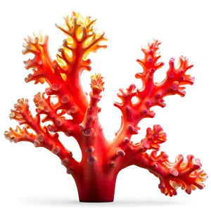 Fluorescent Coral Underwater Png Gac PNG image