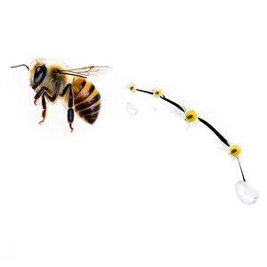 Flying Bee Png Saw52 PNG image