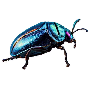 Flying Beetle Picture PNG 05242024