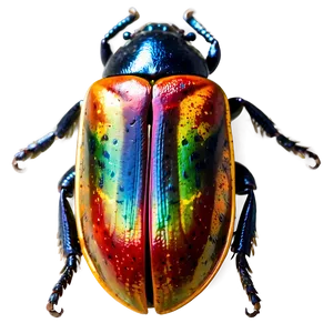 Flying Beetle Picture PNG 44 PNG