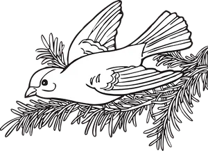 Flying Bird Blackand White Illustration