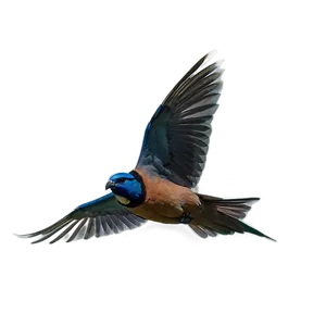 Flying Bird Transparent PNG 70