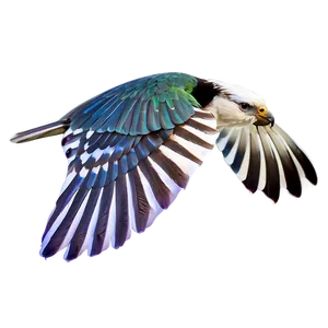 Flying Bird Transparent PNG 97