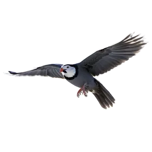 Flying Bird Transparent PNG Rxb