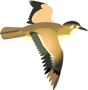 Flying Bird Vector Illustration