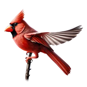 Flying Cardinal Bird Png 51 PNG image