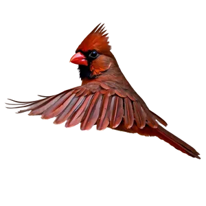 Flying Cardinal PNG Xos