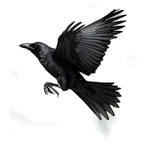 Flying Crow PNG 70