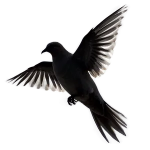Flying Dove Silhouette Clipart PNG 42 PNG
