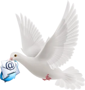 Flying Dovewith Email Envelope