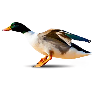 Flying Duck Silhouette PNG 05032024
