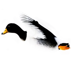 Flying Duck Silhouette PNG Pau43