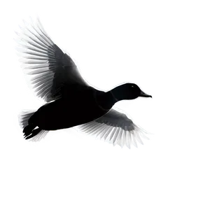 Flying Duck Silhouette Png Sah14 PNG image