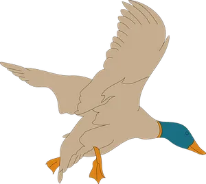 Flying Duck Silhouette