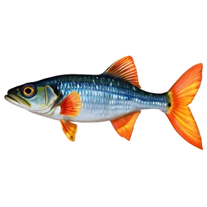 Flying Fish Transparent PNG 57