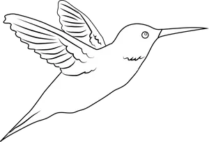 Flying Hummingbird Line Art PNG image