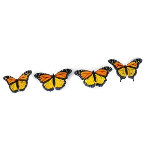 Flying Monarch Butterflies PNG 06252024 PNG