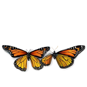 Flying Monarch Butterflies Png 84 PNG image