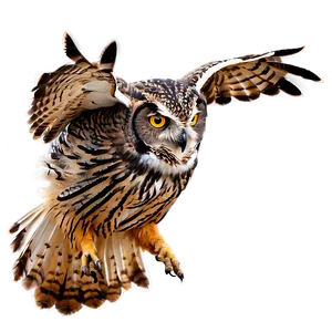 Flying Owl Png 70 PNG image