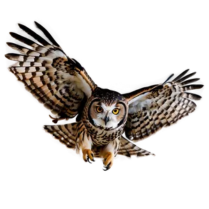 Flying Owl Png Vld PNG image