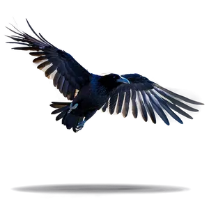 Flying Raven PNG 05062024
