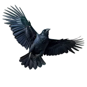 Flying Raven Png 05062024 PNG image