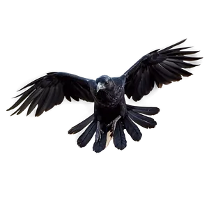 Flying Raven PNG Hpx43