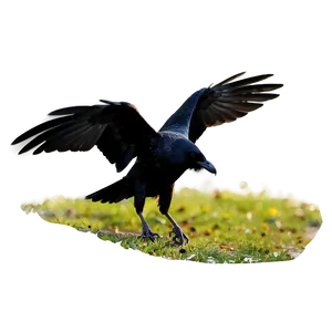 Flying Ravens Silhouette PNG 06122024