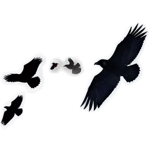 Flying Ravens Silhouette PNG Xqc PNG