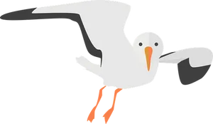 Flying Seagull Vector Illustration PNG image