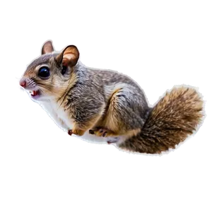 Flying Squirrel A