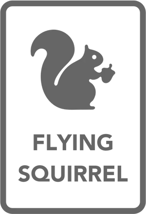 Flying Squirrel Sign Graphic