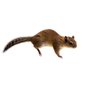 Flying Squirrel Silhouette At Night Png 06262024 PNG image