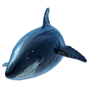 Flying Whale PNG 05232024 PNG
