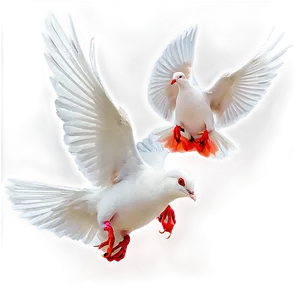 Flying White Dove PNG Hyf