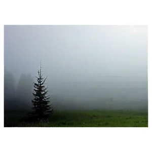 Fog Mist Overlay PNG 06282024