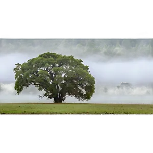 Foggy Countryside Png Uok82 PNG image