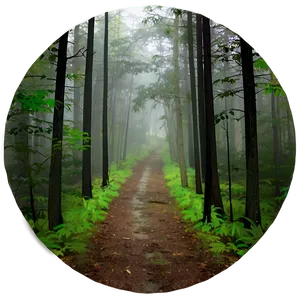 Foggy Forest Path Png 77 PNG image